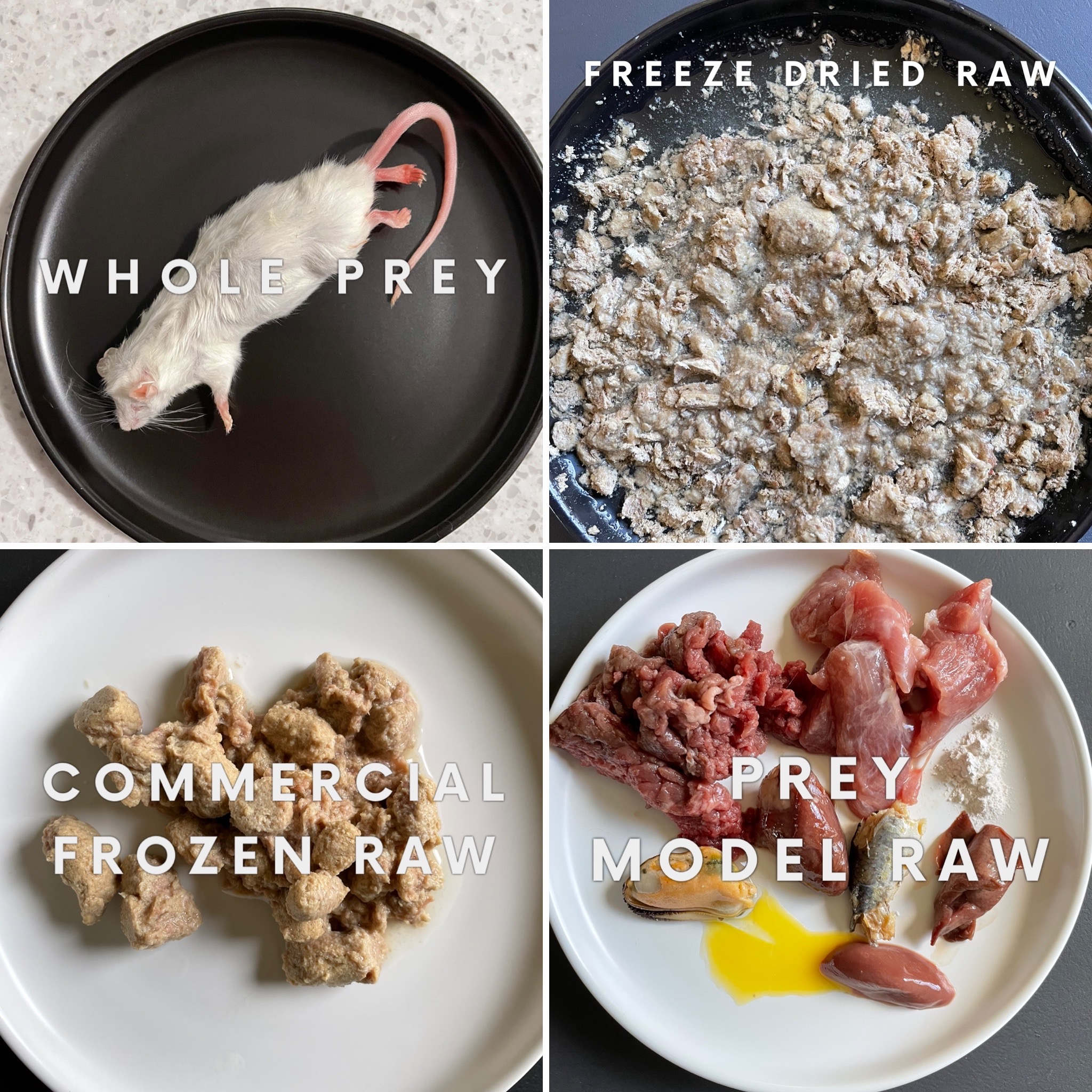 different ways to feed raw