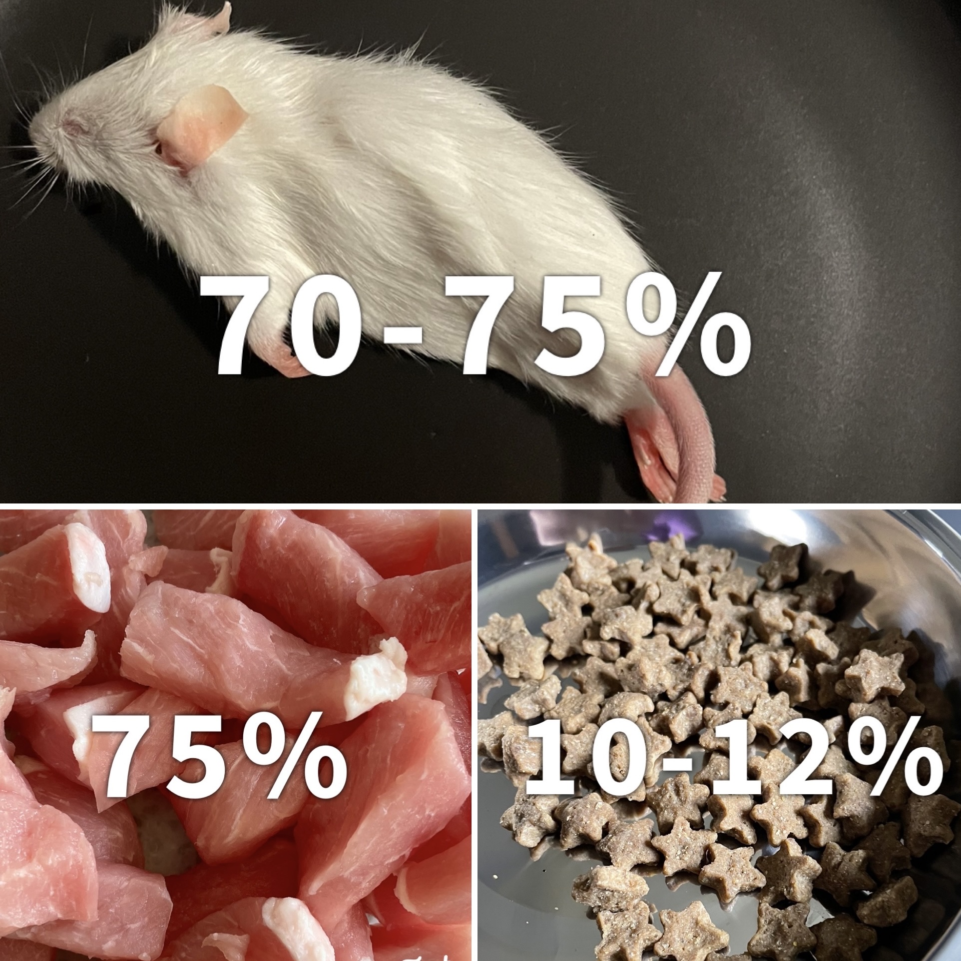 moisture content of foods