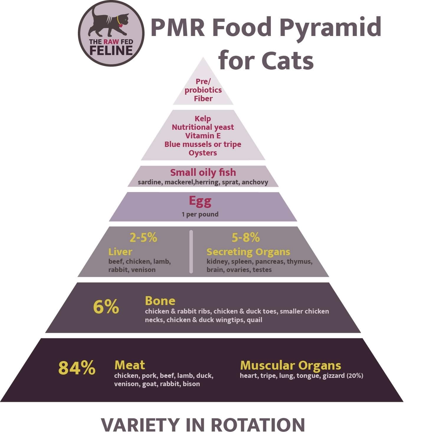 PMR Food Pyramid for Cats