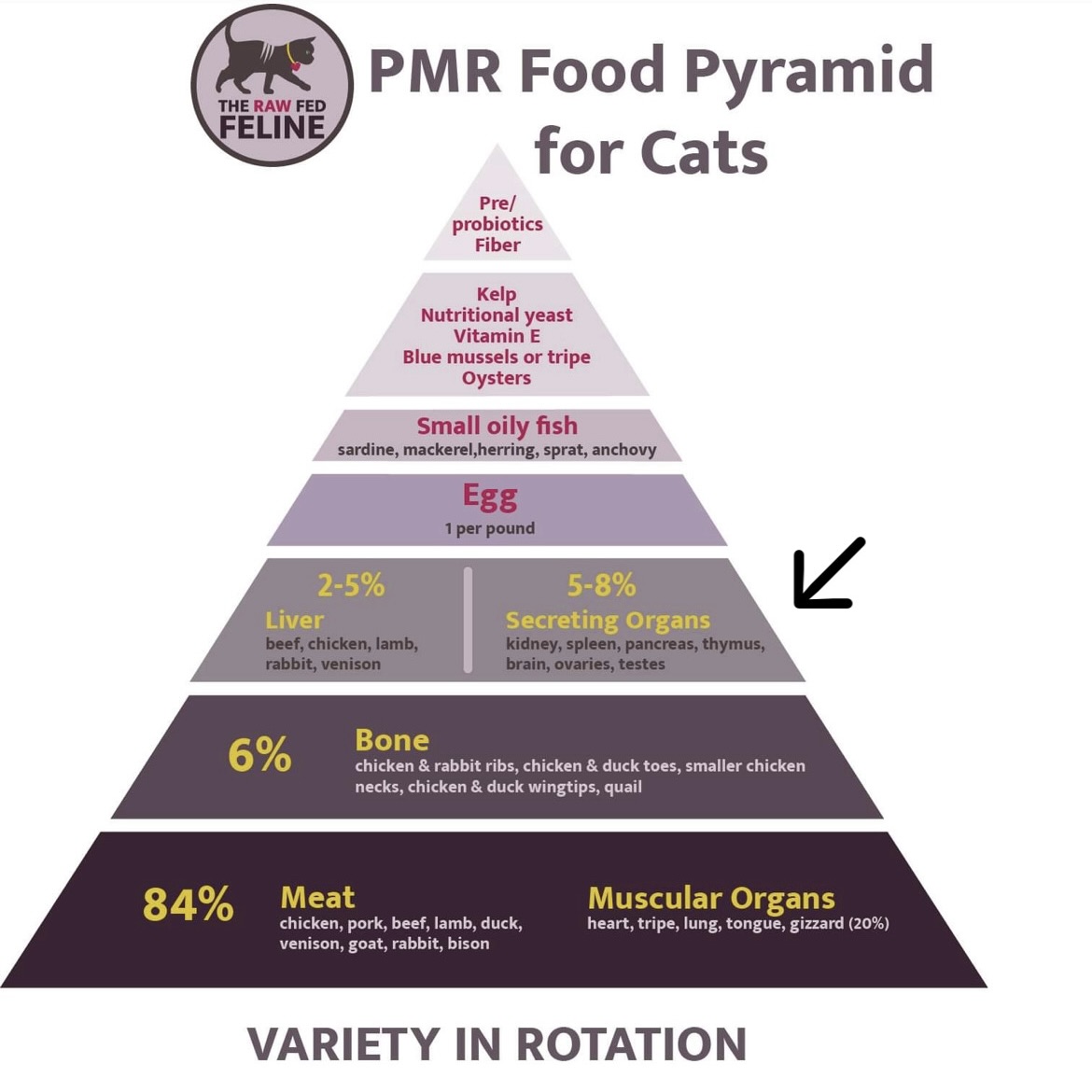 PMR Food Pyramid: Liver and secreting organs