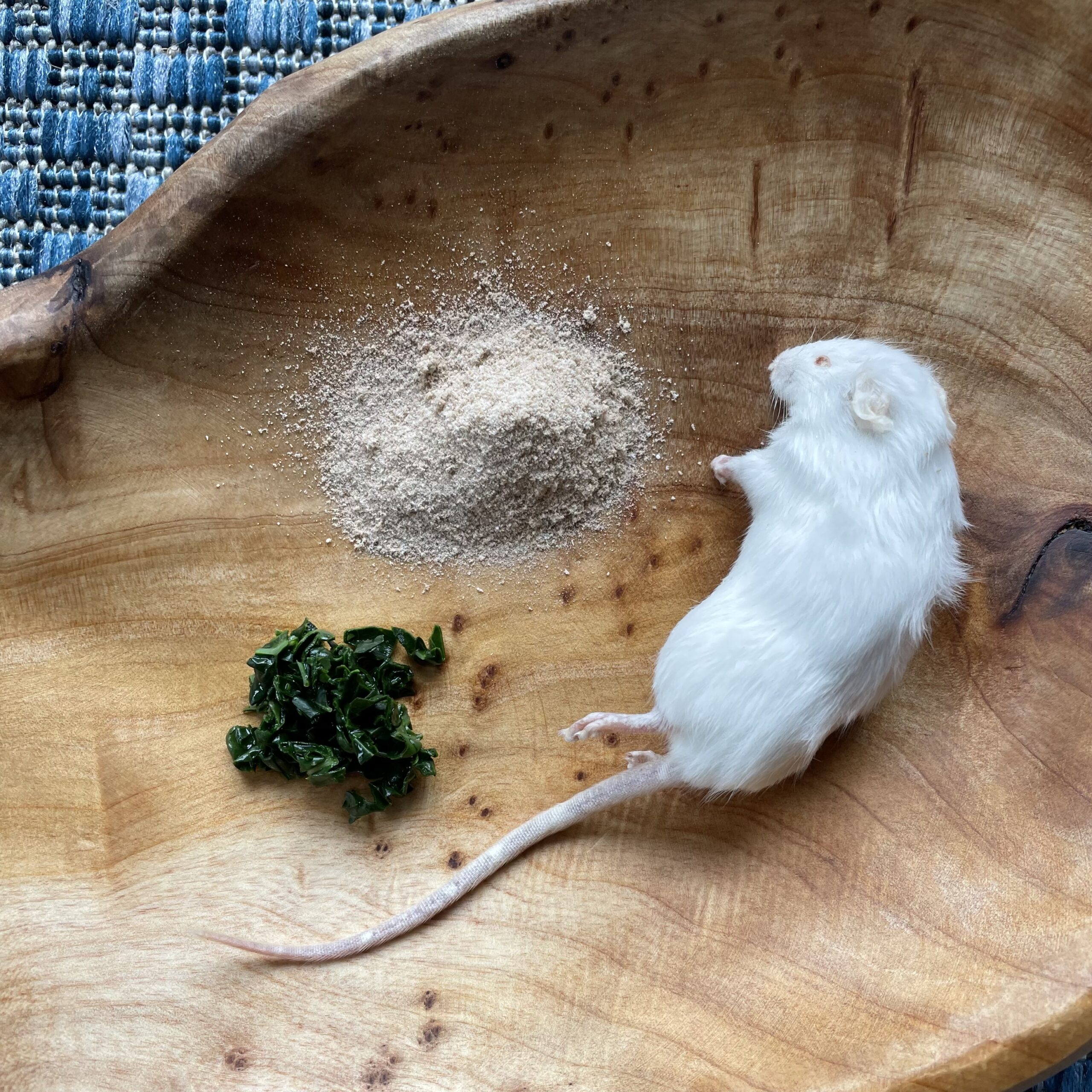 three fibers sources on a wooden plate