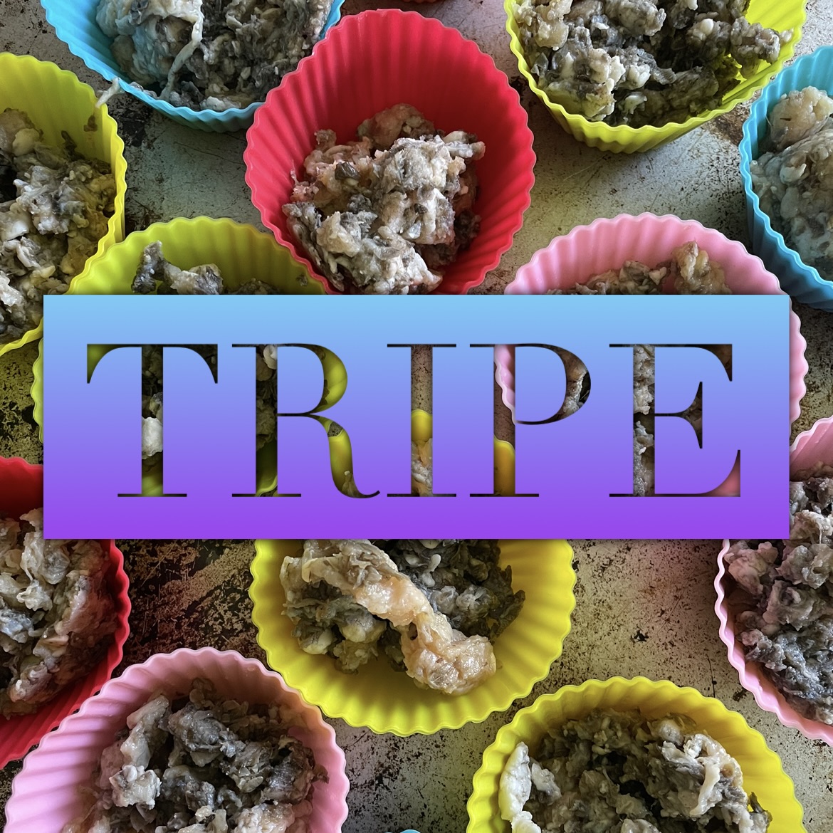 raw tripe portioned into cupcake liners