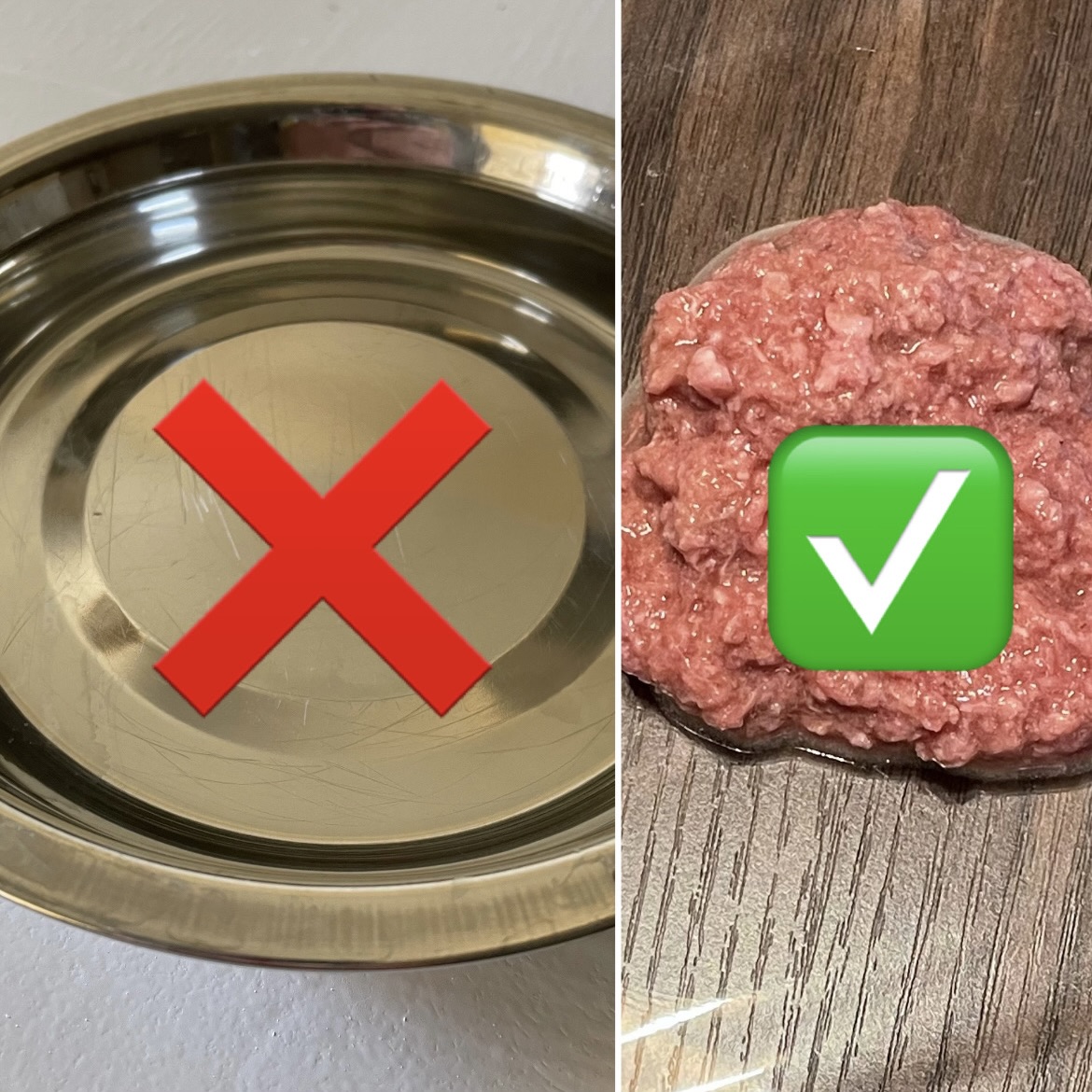 water dish with X on it next to moisture rich food with check on it